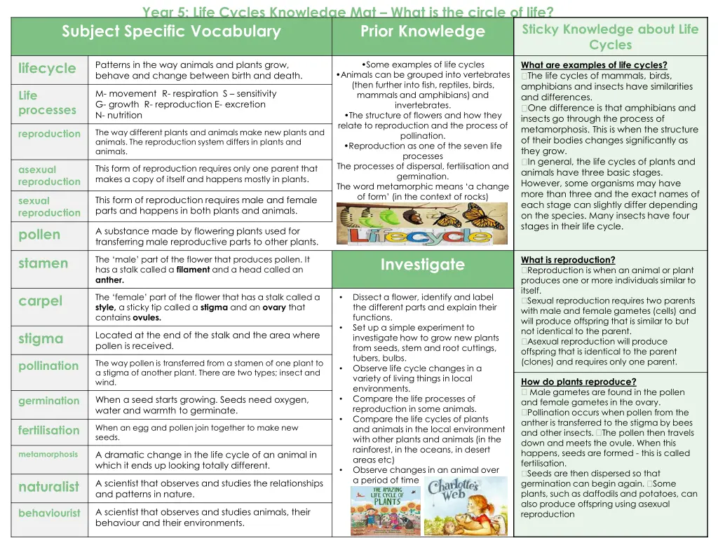 year 5 life cycles knowledge mat what