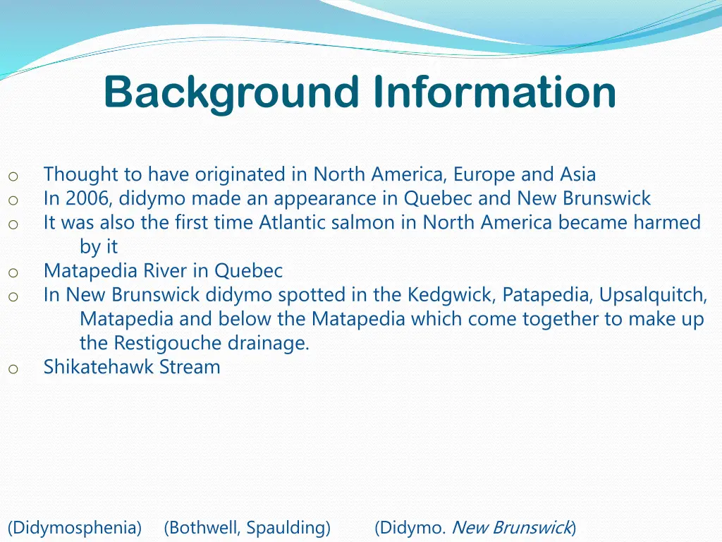 background information