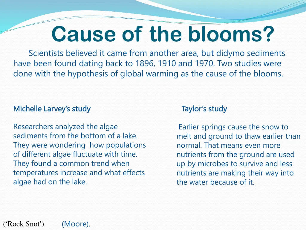 cause of the blooms