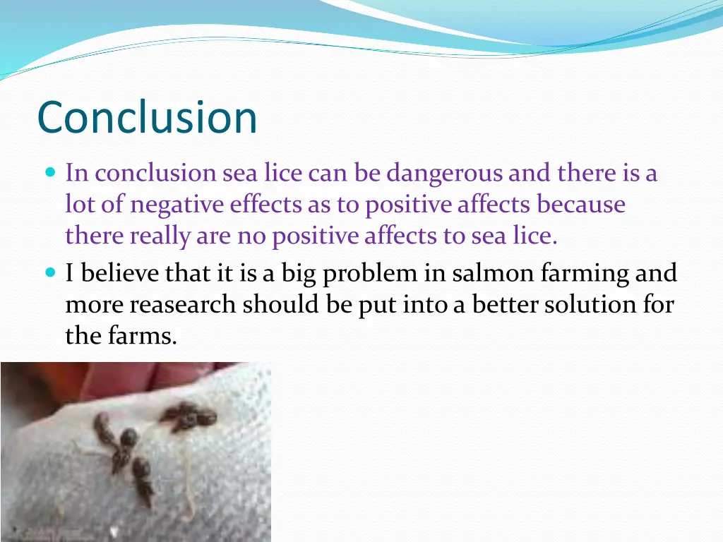 conclusion