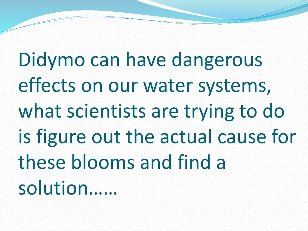 didymo can have dangerous effects on our water