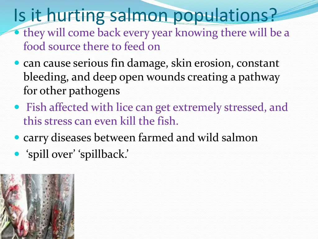 is it hurting salmon populations they will come