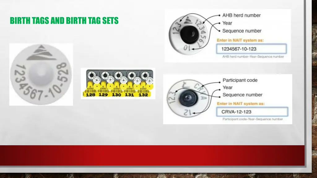 birth tags and birth tag sets