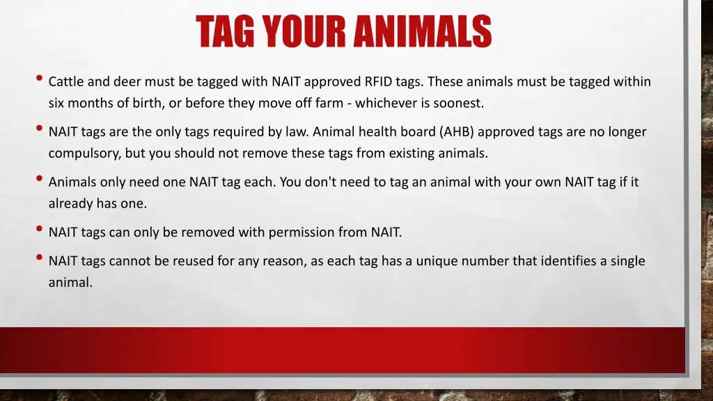 tag your animals