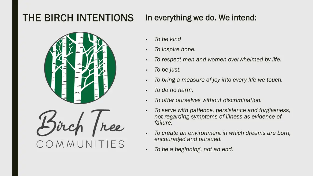 the birch intentions the birch intentions