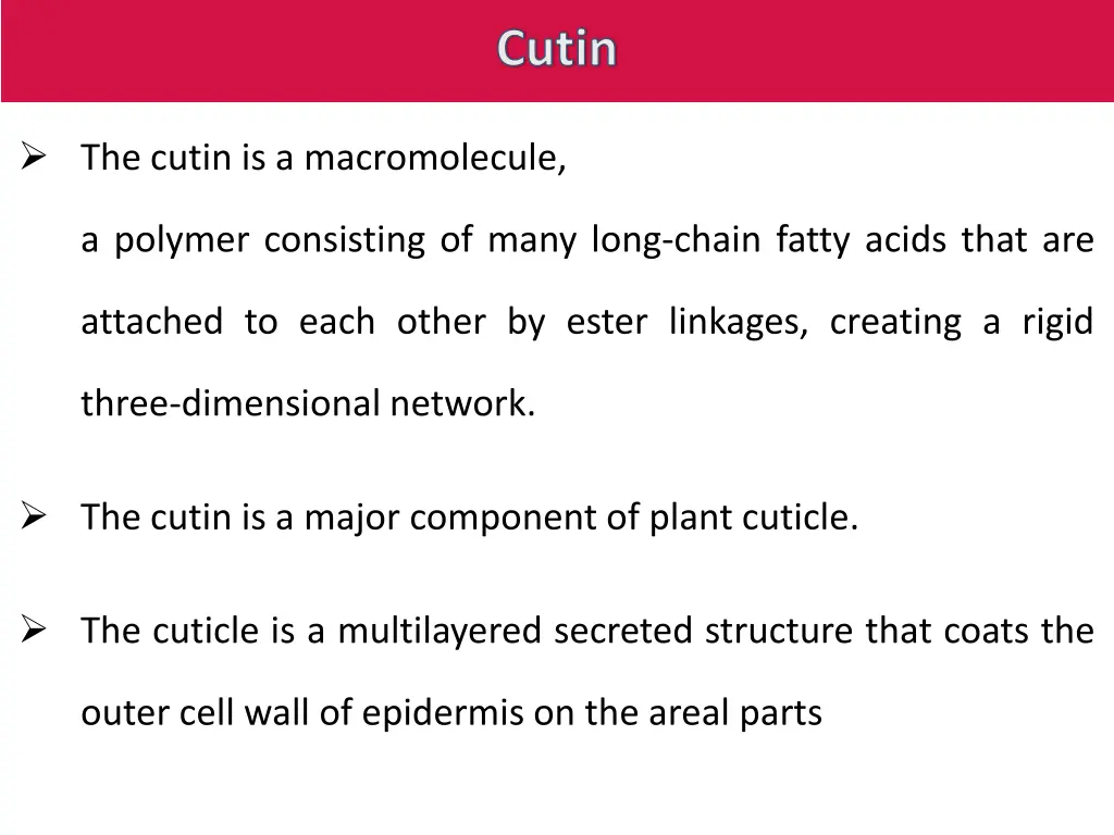 cutin