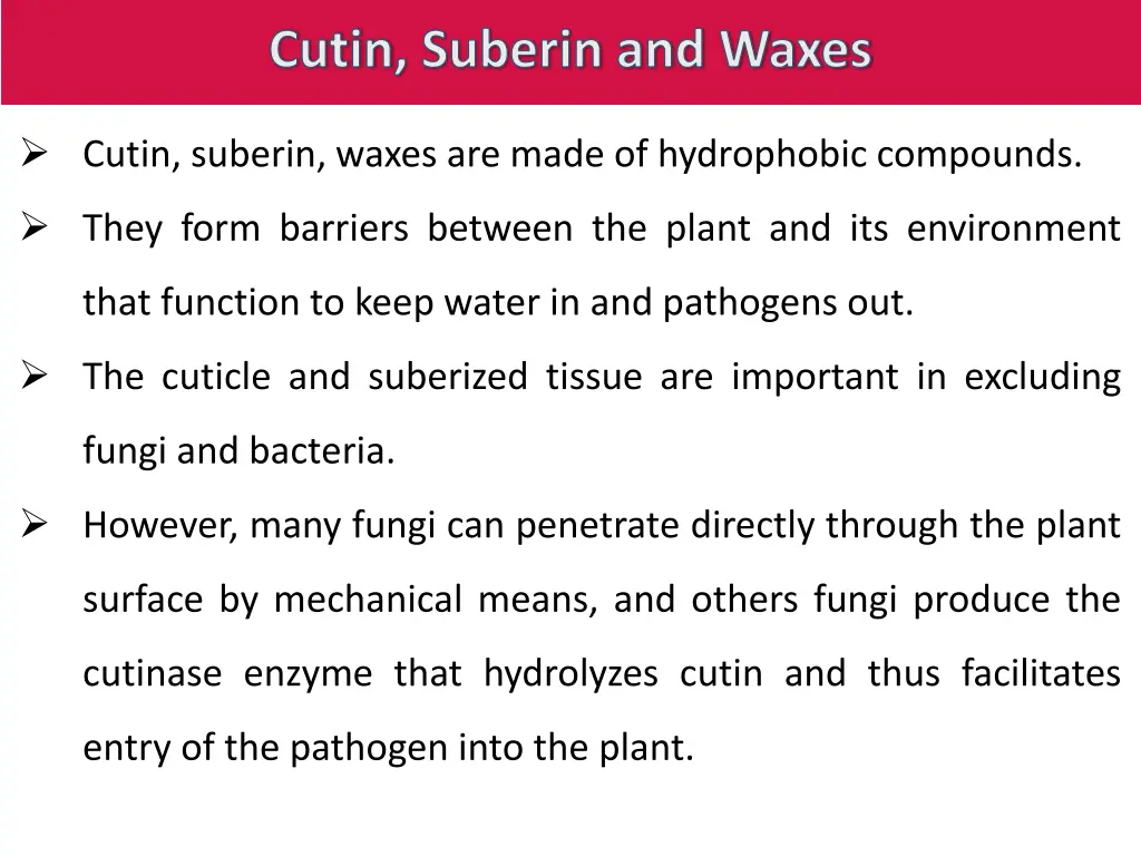 cutin suberin and waxes