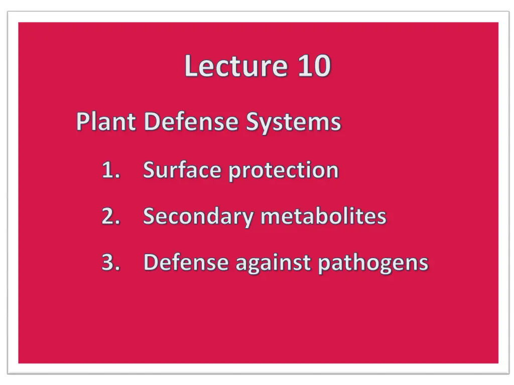 lecture 10