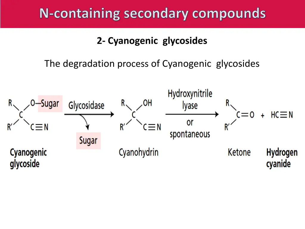 n containing secondary compounds 5