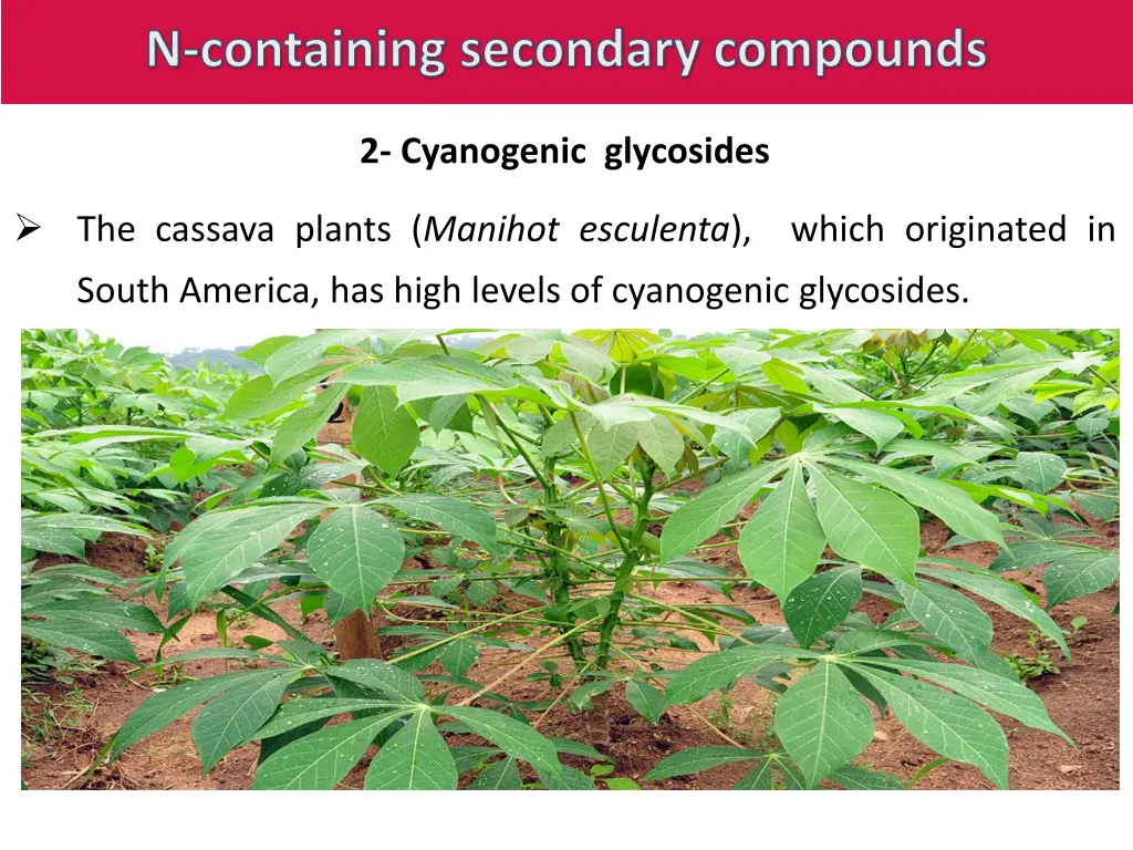 n containing secondary compounds 6