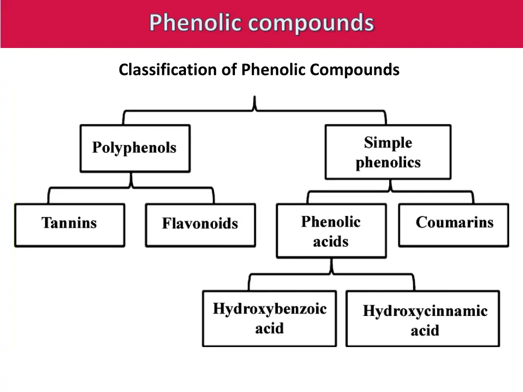 phenolic compounds 1