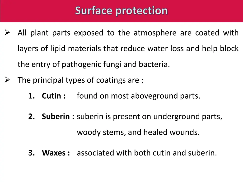 surface protection 1