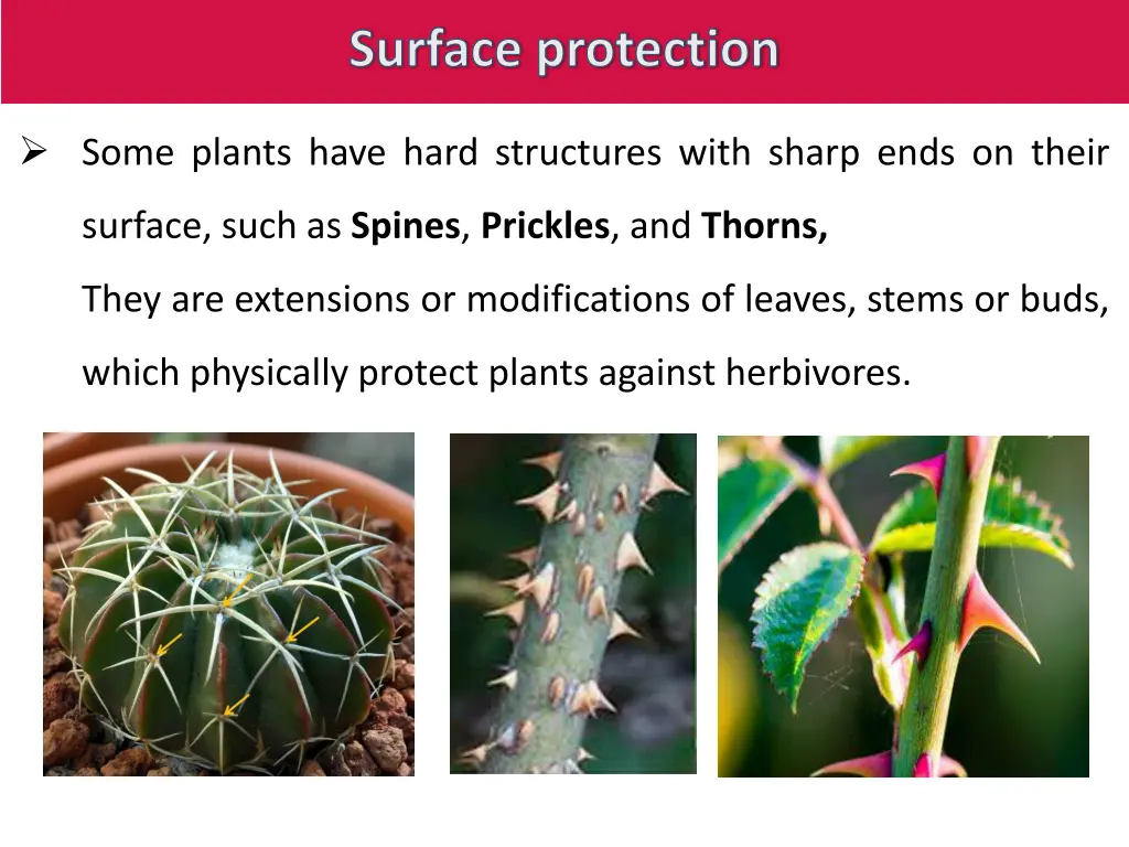 surface protection