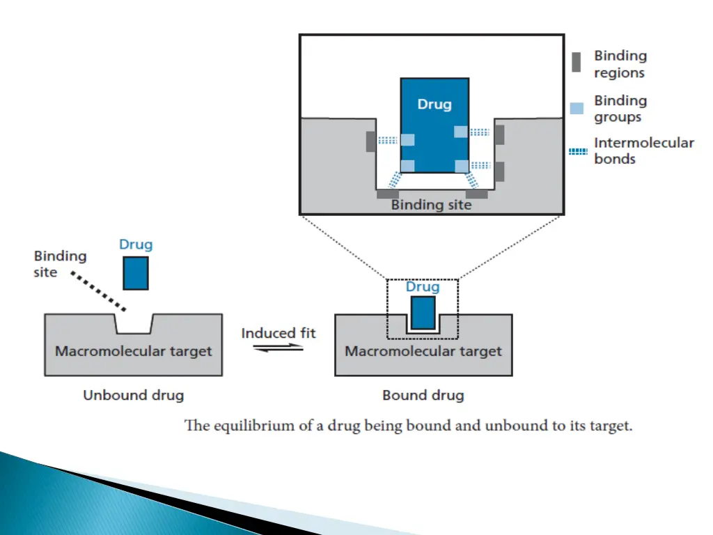 slide15