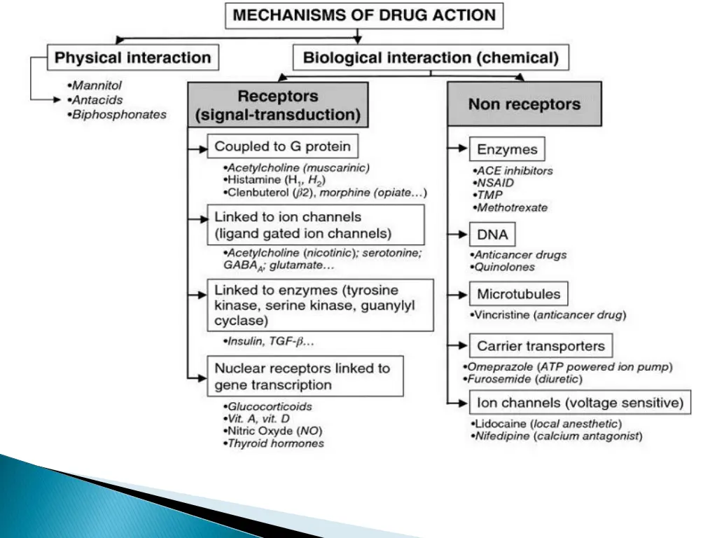 slide5