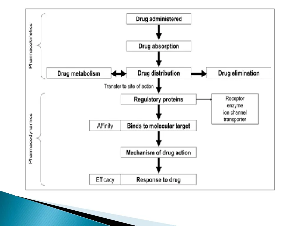 slide9