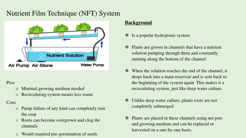 nutrient film technique nft system