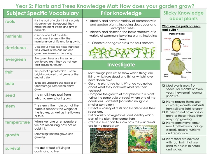 year 2 plants and trees knowledge mat how does