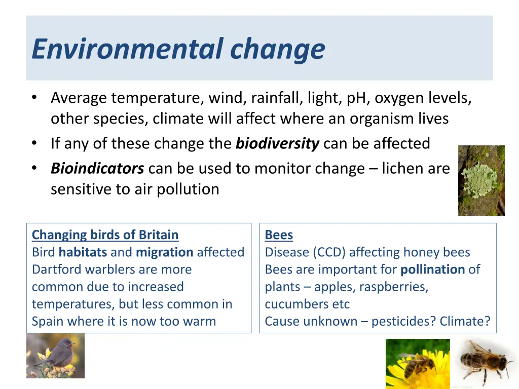 environmental change 1
