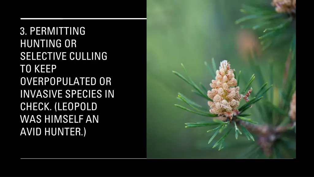3 permitting hunting or selective culling to keep