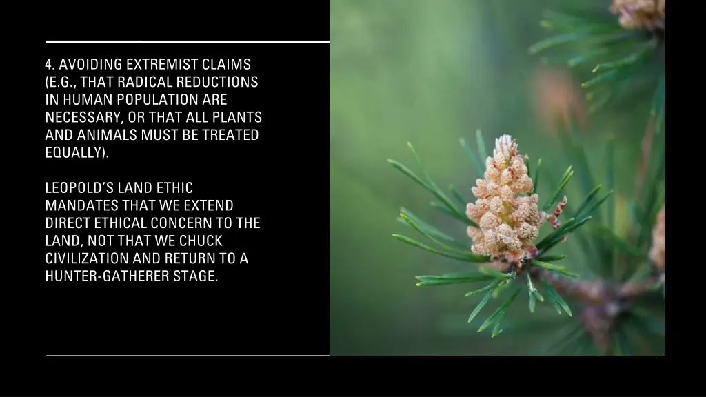 4 avoiding extremist claims e g that radical
