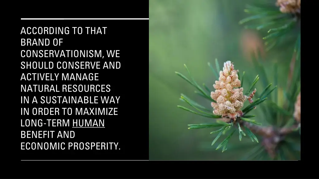 according to that brand of conservationism
