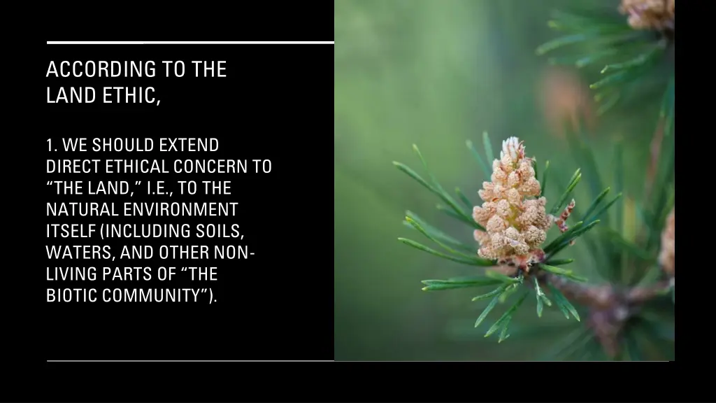 according to the land ethic