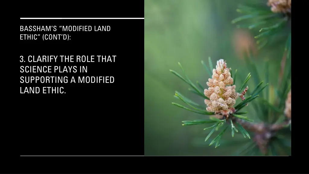 bassham s modified land ethic cont d 1