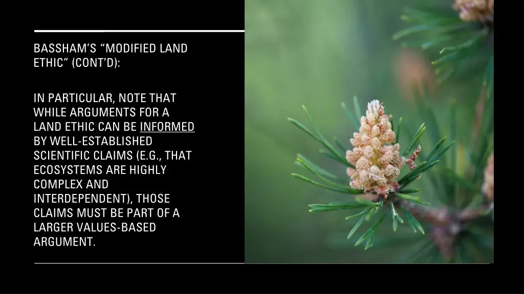 bassham s modified land ethic cont d 2