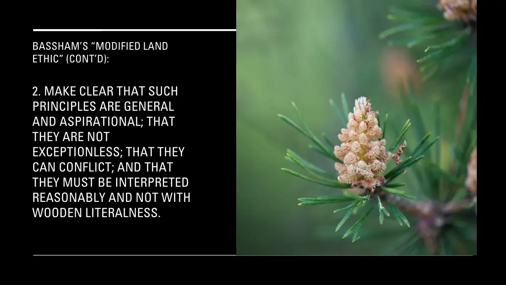 bassham s modified land ethic cont d