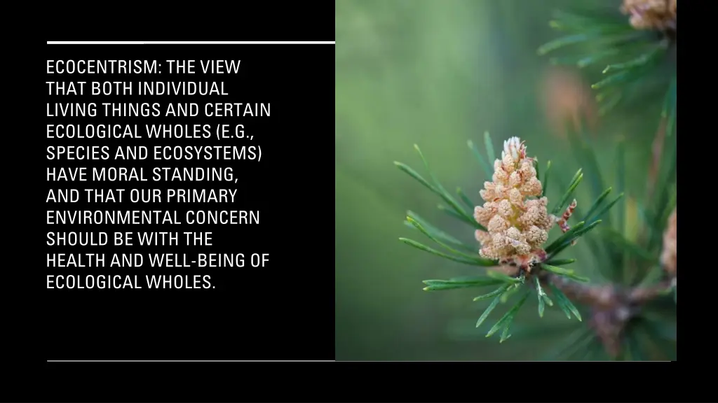 ecocentrism the view that both individual living