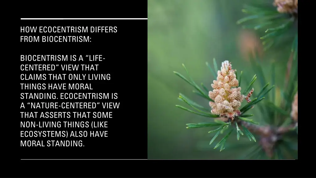how ecocentrism differs from biocentrism