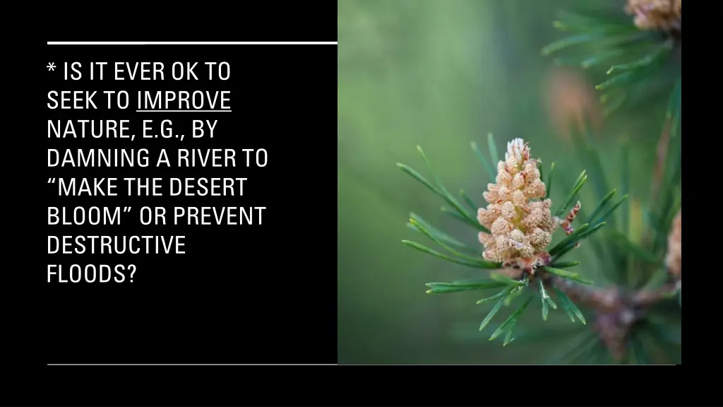 is it ever ok to seek to improve nature