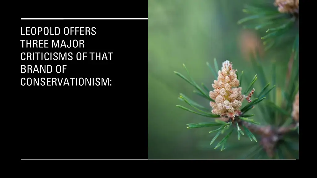 leopold offers three major criticisms of that