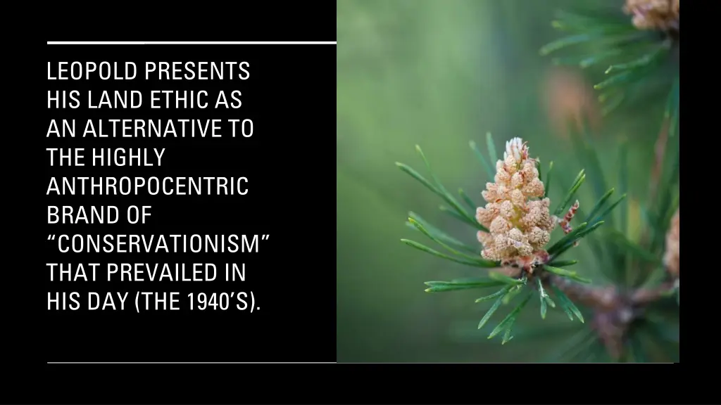 leopold presents his land ethic as an alternative