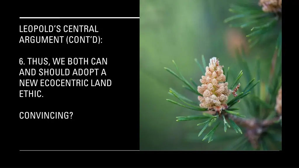 leopold s central argument cont d 4
