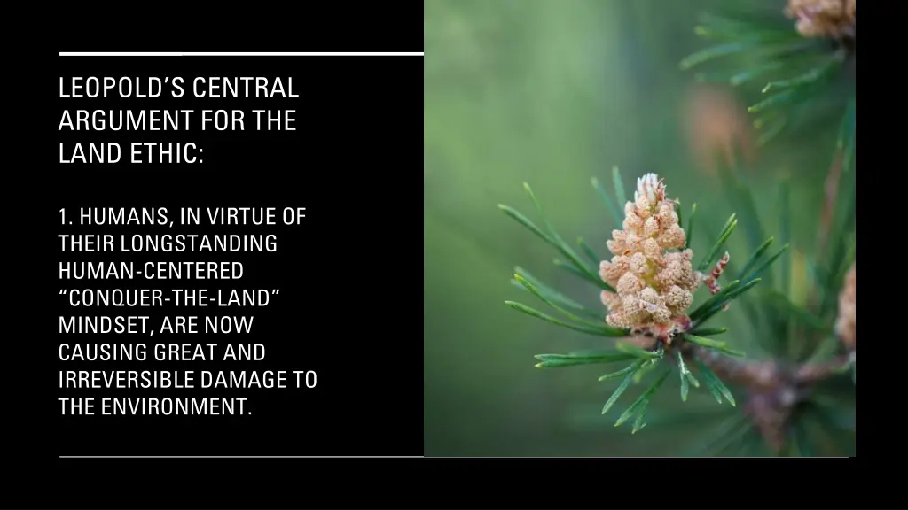 leopold s central argument for the land ethic