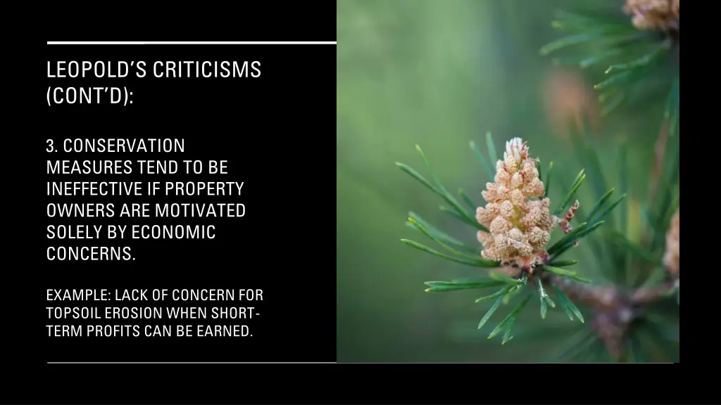 leopold s criticisms cont d