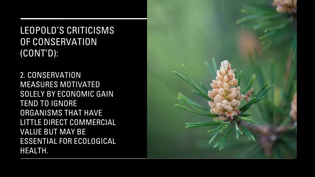 leopold s criticisms of conservation cont d