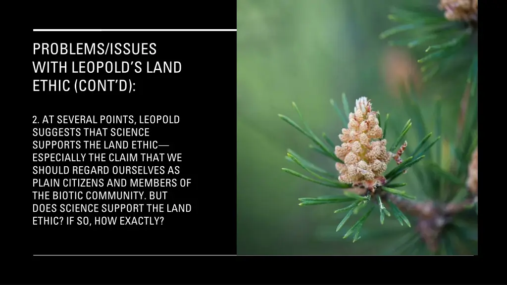 problems issues with leopold s land ethic cont d