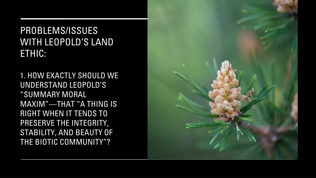 problems issues with leopold s land ethic