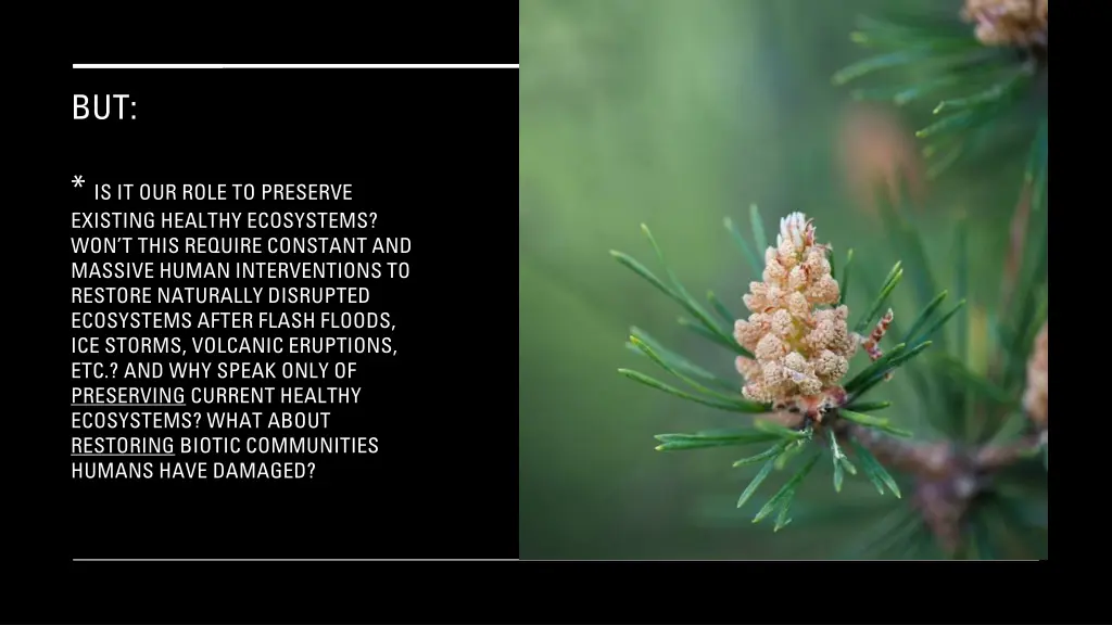 slide35