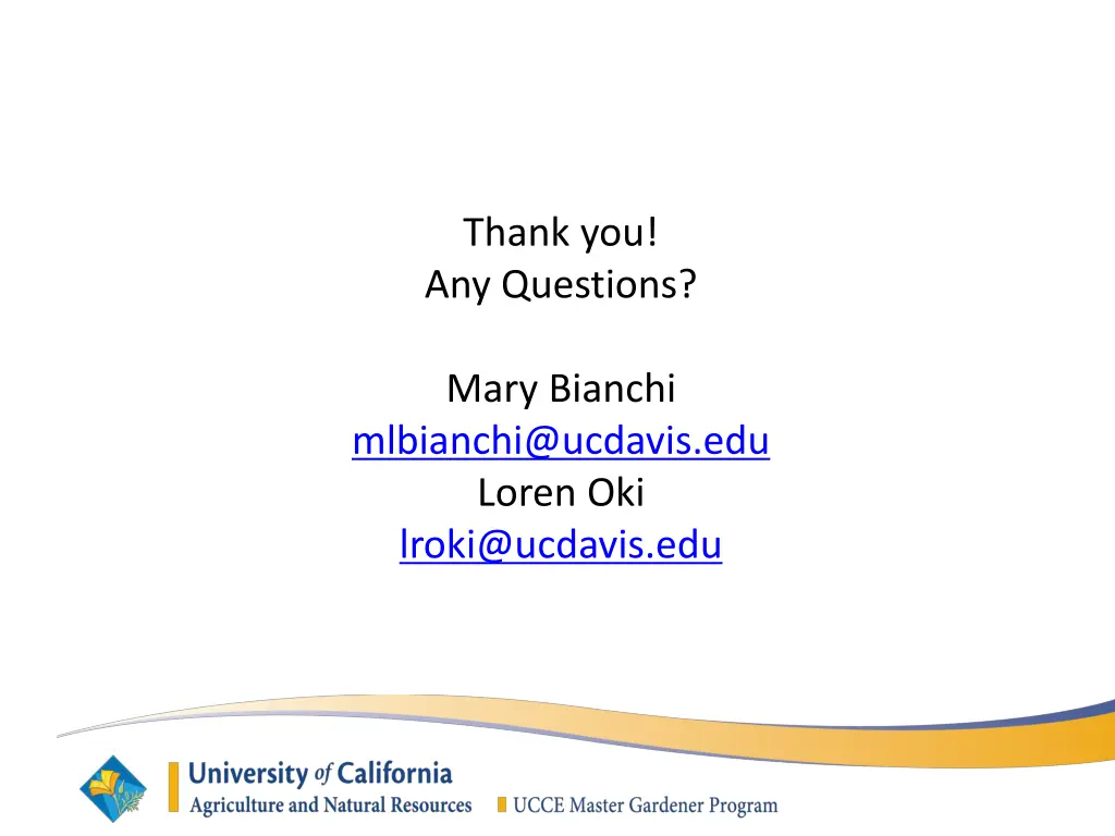thank you any questions