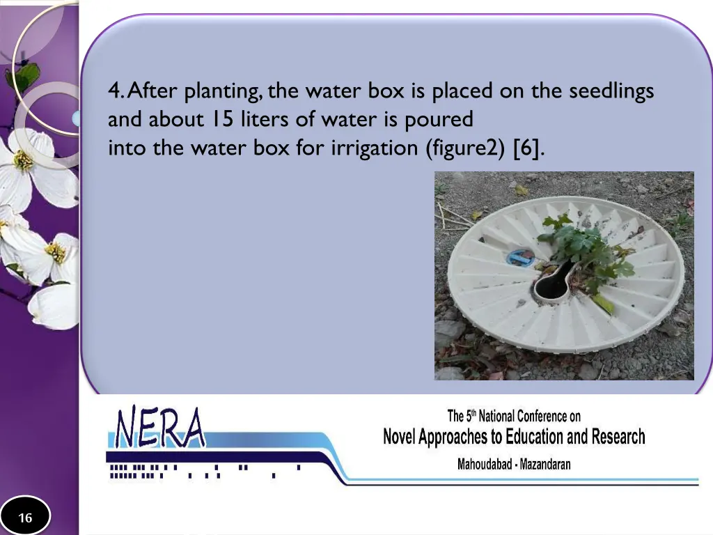 4 after planting the water box is placed