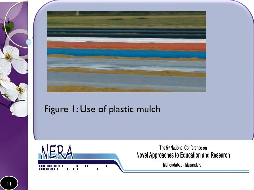 figure 1 use of plastic mulch