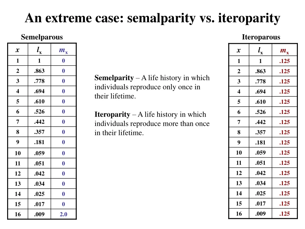 an extreme case semalparity vs iteroparity