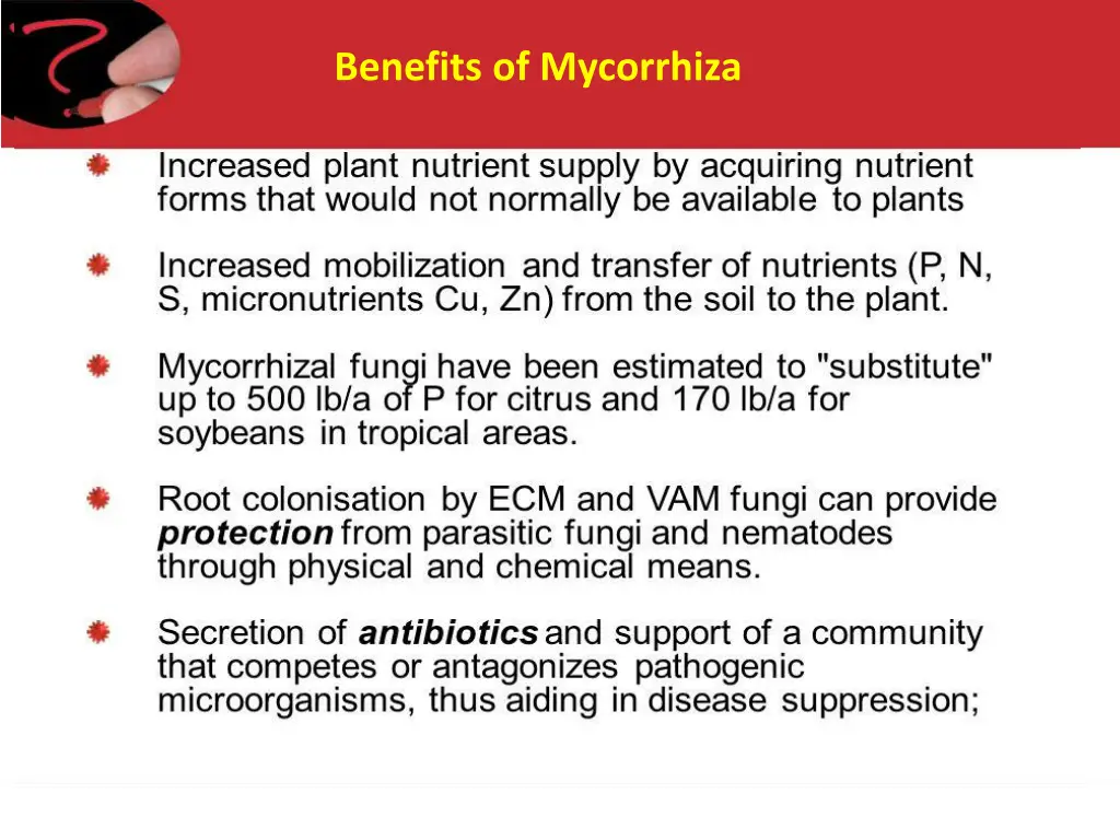 benefits of mycorrhiza