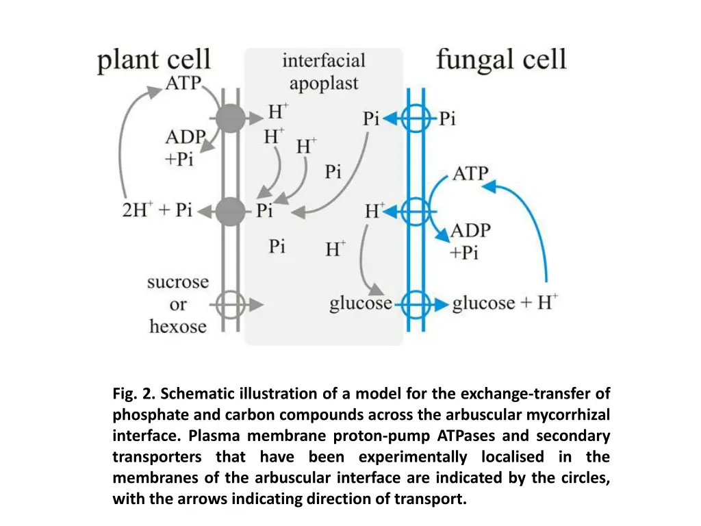 fig 2 schematic illustration of a model