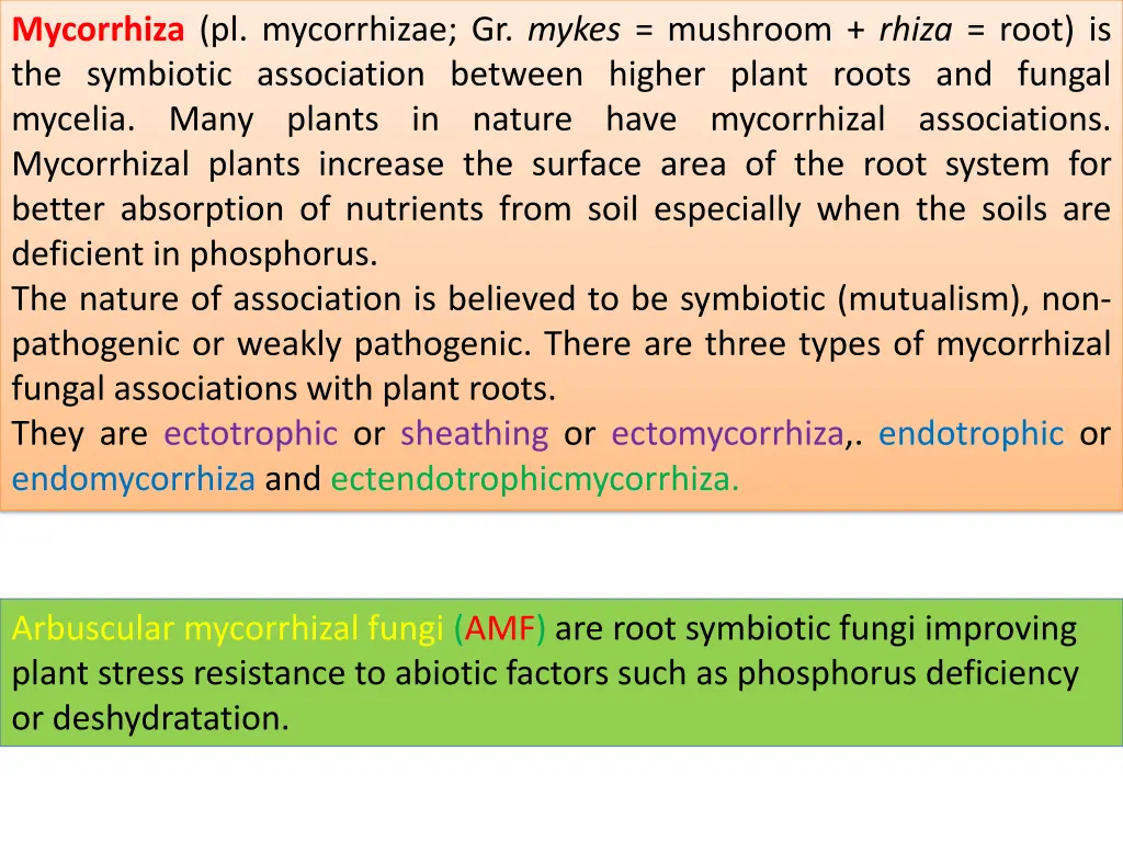 mycorrhiza pl mycorrhizae gr mykes mushroom rhiza