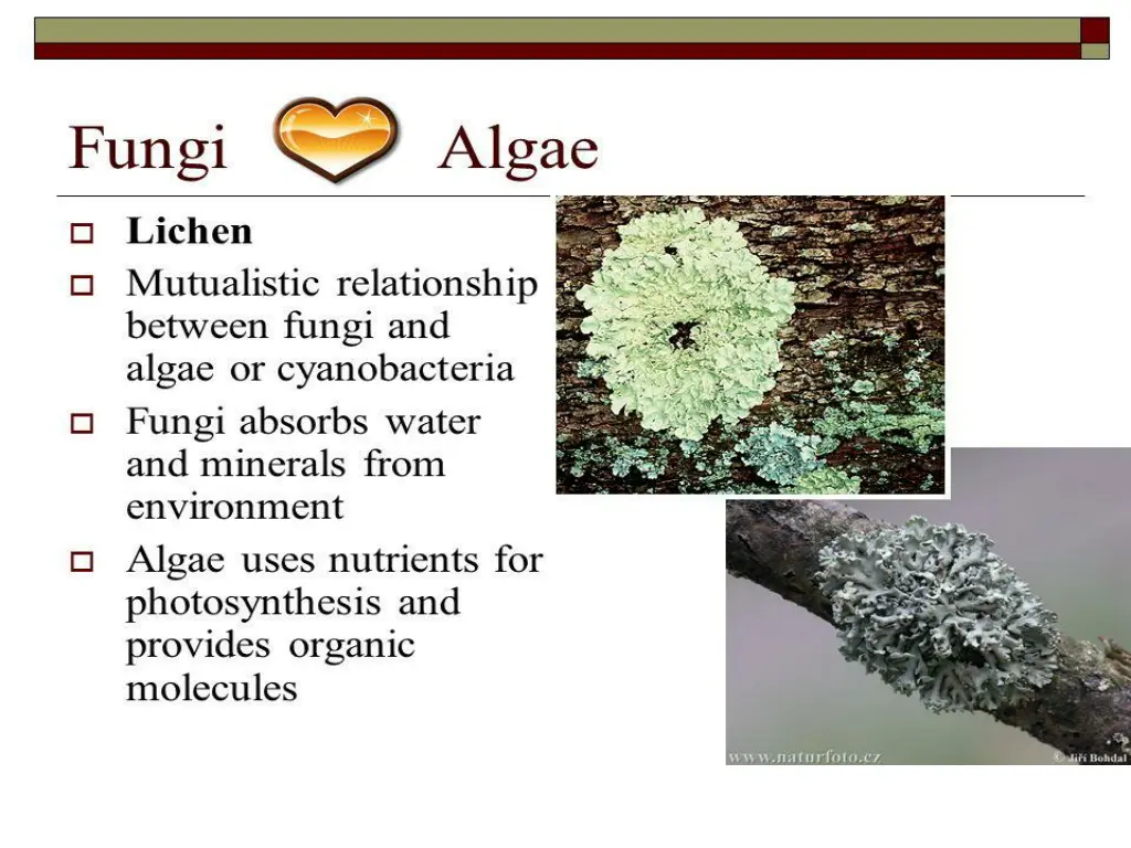 slide15